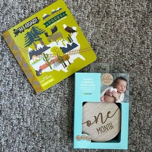 Baby Monthly Milestone Photo Cards and All Aboard! National Parks Book